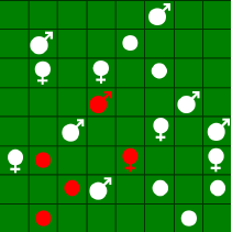 grid